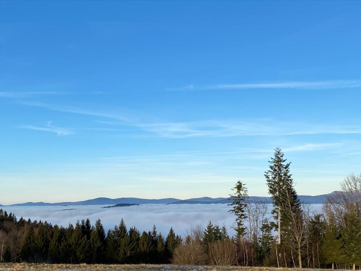 Uriges Top-Apartment Im Bayerischen Wald 3Br! +Netflix Schöfweg Dış mekan fotoğraf